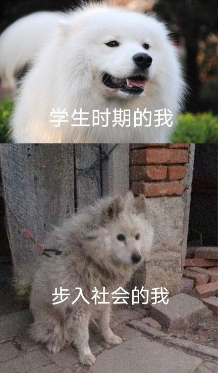 雙非大三，績點低，想去香港留學(xué)來得及嗎？怎么補救？