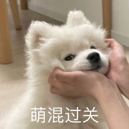 雙非大三，績點低，想去香港留學(xué)來得及嗎？怎么補救？