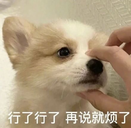 雙非大三，績點低，想去香港留學(xué)來得及嗎？怎么補救？