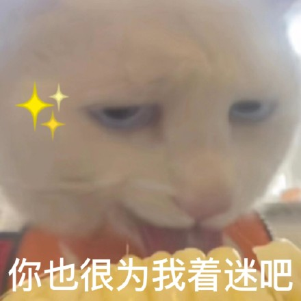 雙非大三，績點低，想去香港留學(xué)來得及嗎？怎么補救？