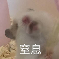 為什么不建議家境普通的學(xué)生讀商科？