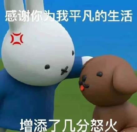 為什么不建議家境普通的學(xué)生讀商科？
