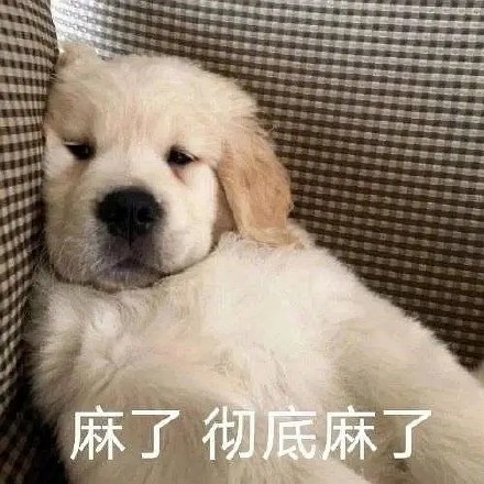 留學生10大最難學專業(yè)，金融竟然是最后一名？