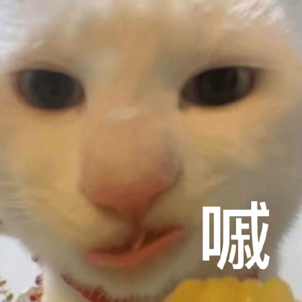 留學生10大最難學專業(yè)，金融竟然是最后一名？