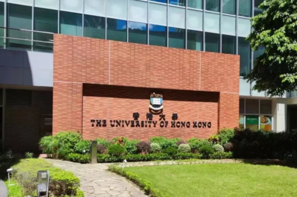 香港大學公布商科學生錄取背景，24fall怎么準備能一步拿offer？