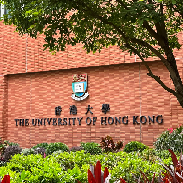 香港大學25Fall新增11個專業(yè)，盤點申請要求！